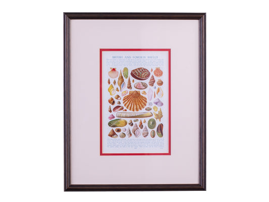 Beautiful framed print with pink and red mount