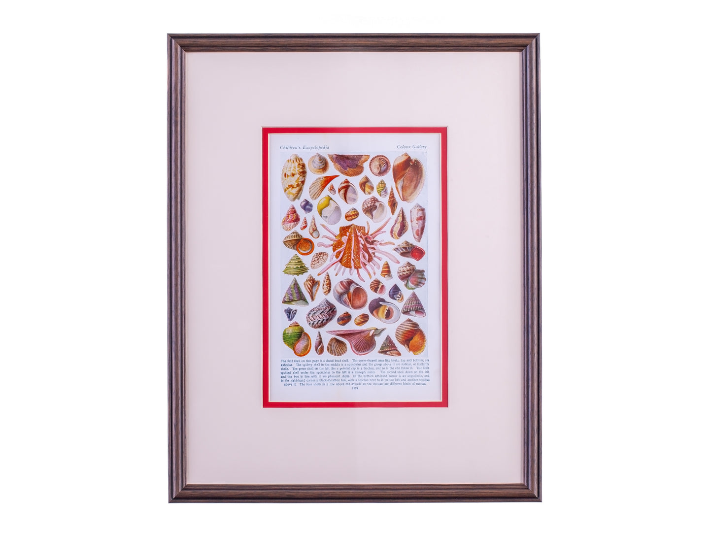 Vintage framed print perfect for a pink aesthetic