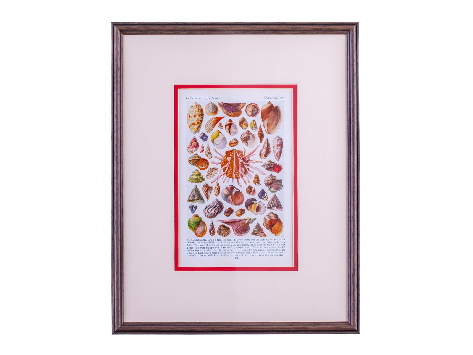 Vintage framed print perfect for a pink aesthetic