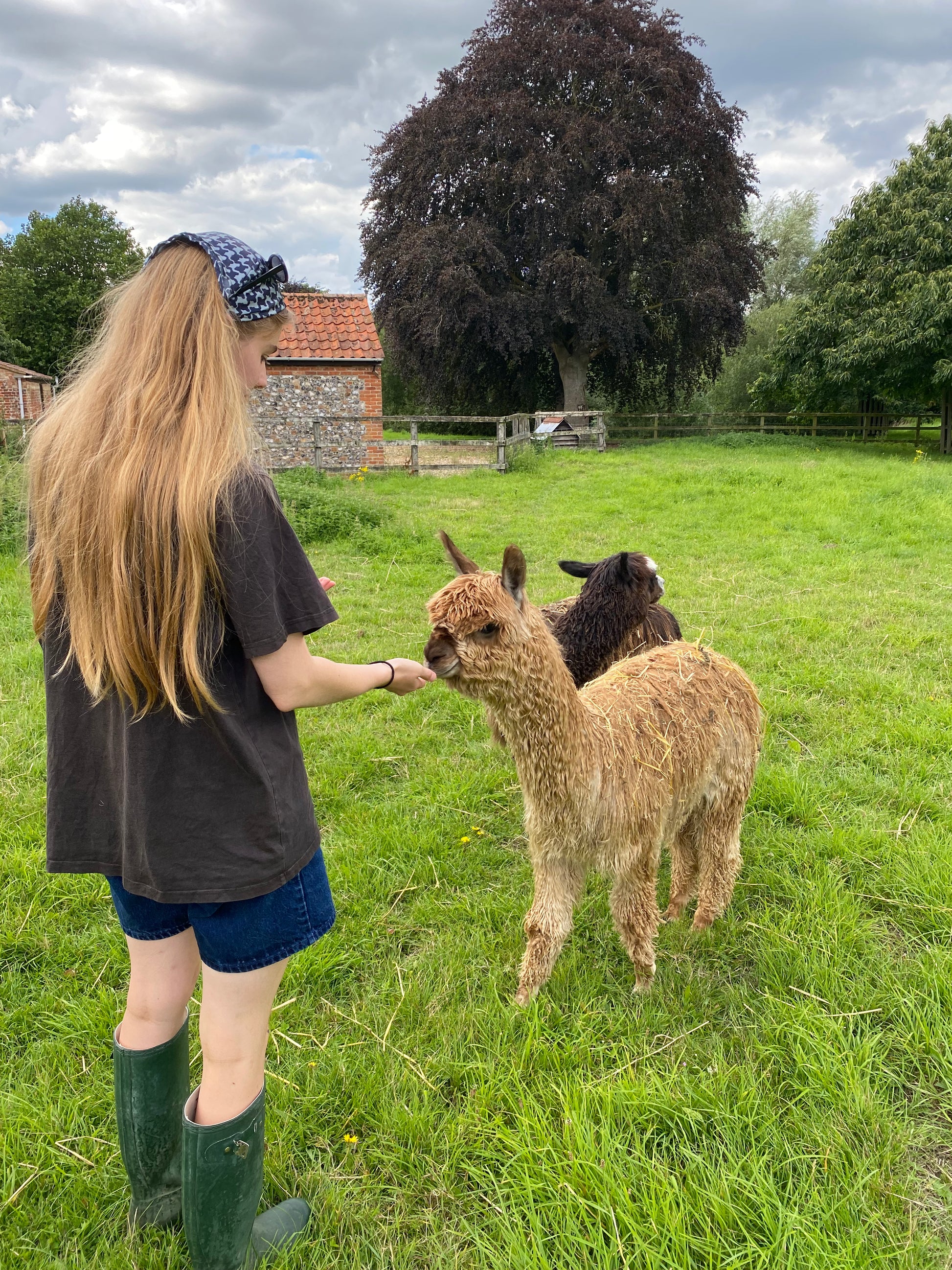 Black silk discount square scarf